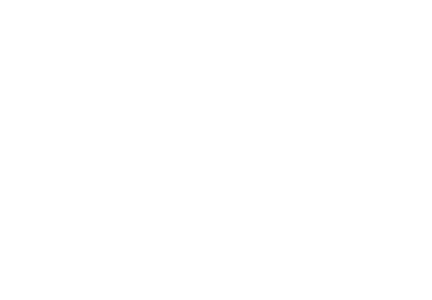 MaxBet